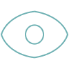 Icon of eye